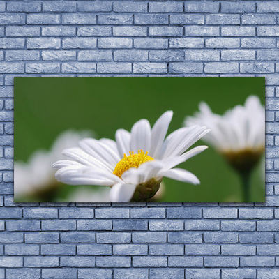 Canvas print Daisy floral white yellow green