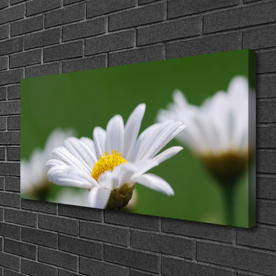 Canvas print Daisy floral white yellow green