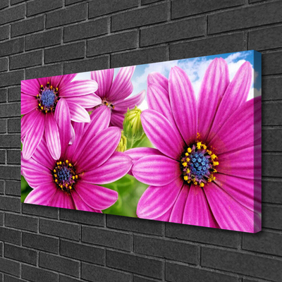 Canvas print Flowers floral pink yellow blue