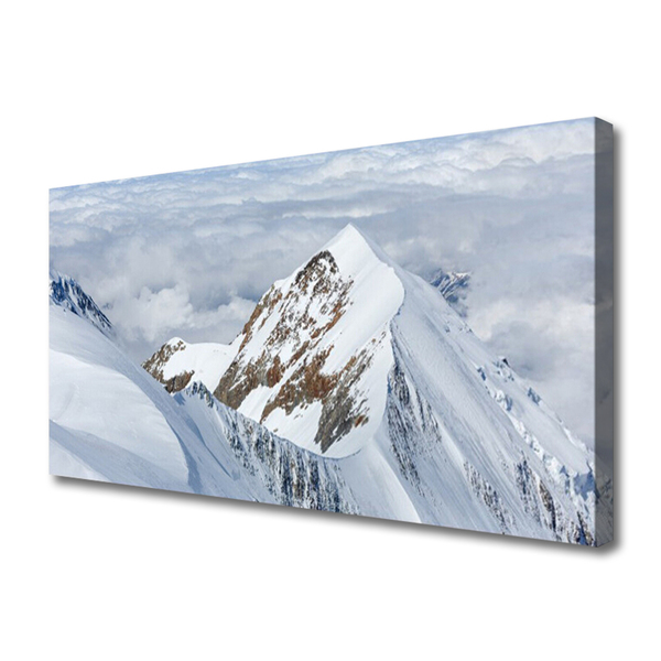 Canvas print Mountains landscape grey white