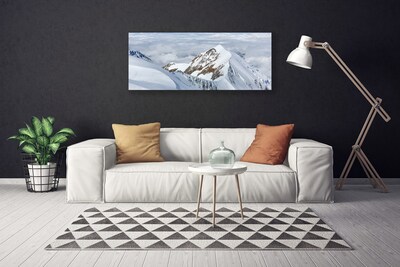 Canvas print Mountains landscape grey white