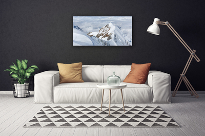 Canvas print Mountains landscape grey white