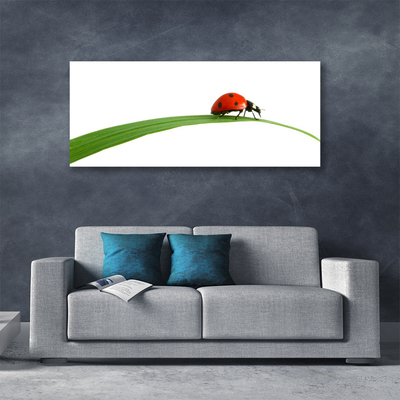 Canvas print Ladybug floral black red green