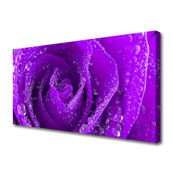 Canvas print Rose floral purple