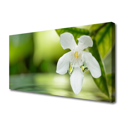 Canvas print Flower leaves floral white green