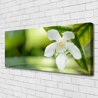 Canvas print Flower leaves floral white green