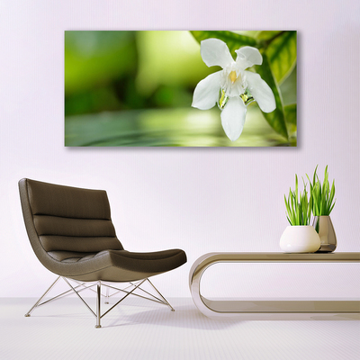 Canvas print Flower leaves floral white green