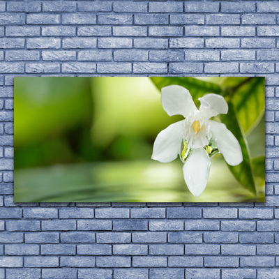 Canvas print Flower leaves floral white green