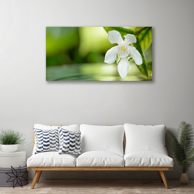 Canvas print Flower leaves floral white green