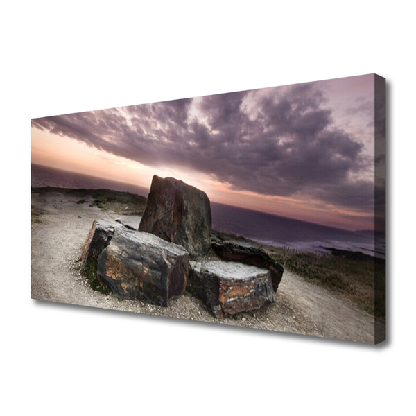 Canvas print Rock landscape grey pink