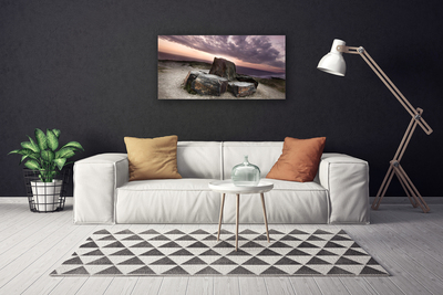 Canvas print Rock landscape grey pink