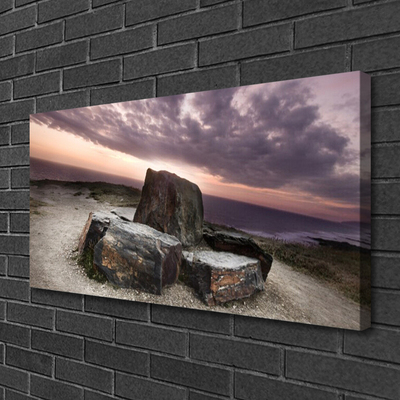 Canvas print Rock landscape grey pink