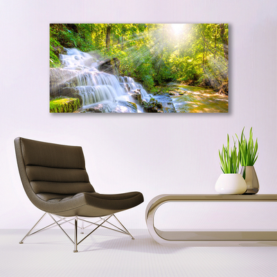 Canvas print Waterfall forest nature white brown green