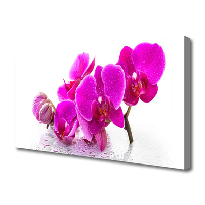 Canvas print Flowers floral pink