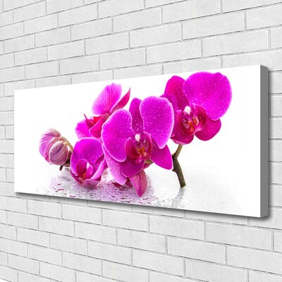 Canvas print Flowers floral pink