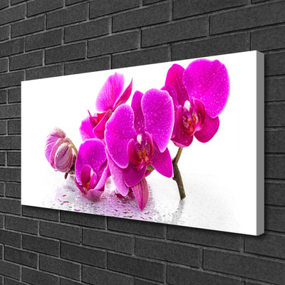 Canvas print Flowers floral pink