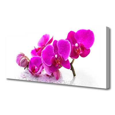 Canvas print Flowers floral pink