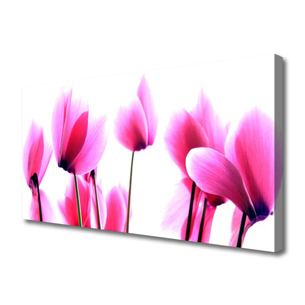 Canvas print Flowers floral pink