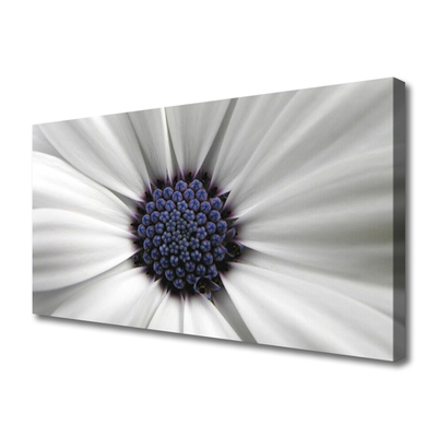 Canvas print Flower floral white grey purple