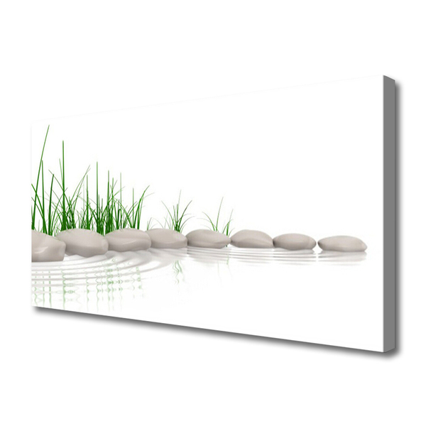 Canvas print Stones grass art grey green