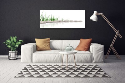 Canvas print Stones grass art grey green