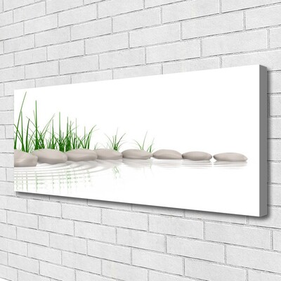 Canvas print Stones grass art grey green