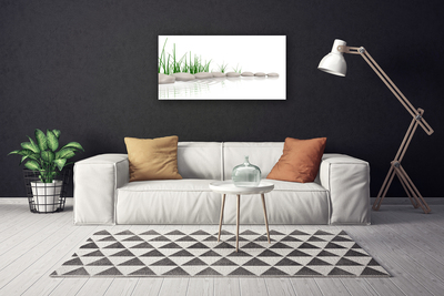 Canvas print Stones grass art grey green