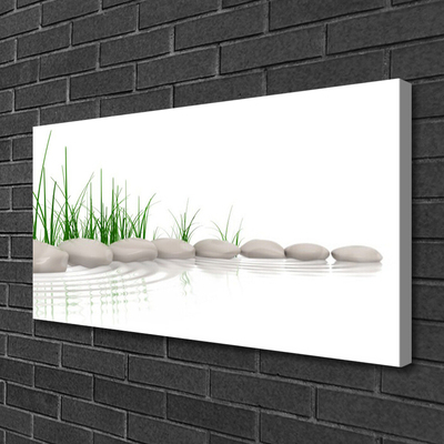 Canvas print Stones grass art grey green