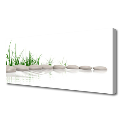 Canvas print Stones grass art grey green