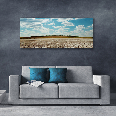 Canvas print Desert landscape grey green