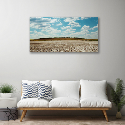 Canvas print Desert landscape grey green