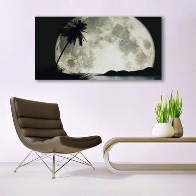 Canvas print Night moon palm landscape black grey white