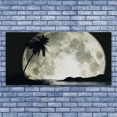 Canvas print Night moon palm landscape black grey white