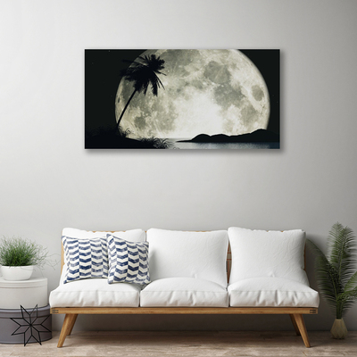 Canvas print Night moon palm landscape black grey white