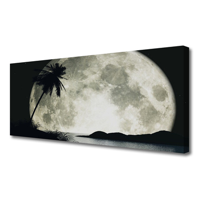 Canvas print Night moon palm landscape black grey white