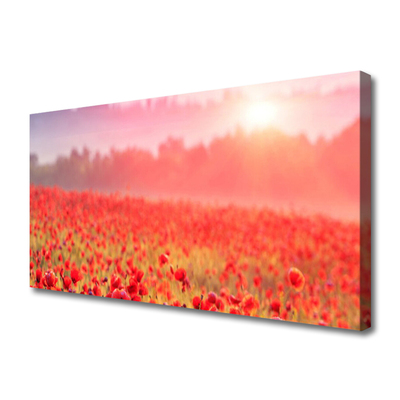 Canvas print Meadow flowers nature red green