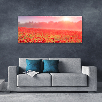 Canvas print Meadow flowers nature red green