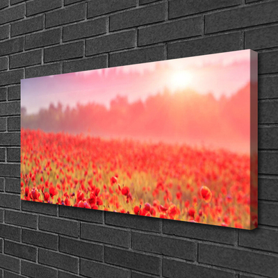 Canvas print Meadow flowers nature red green