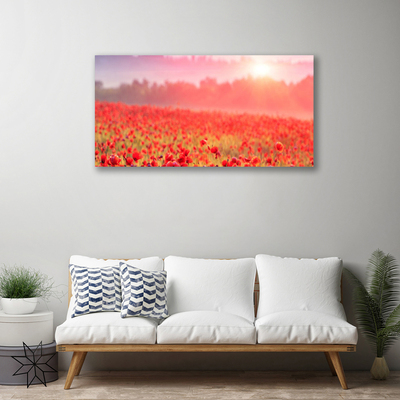 Canvas print Meadow flowers nature red green