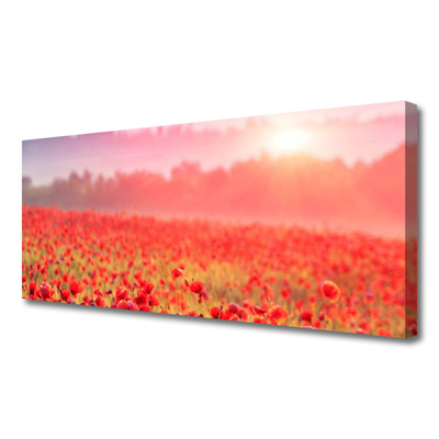 Canvas print Meadow flowers nature red green