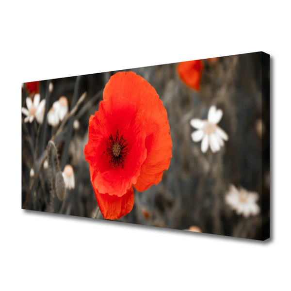 Canvas print Flower floral red grey