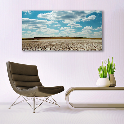 Canvas print Desert landscape grey green