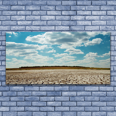 Canvas print Desert landscape grey green