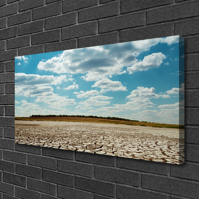 Canvas print Desert landscape grey green