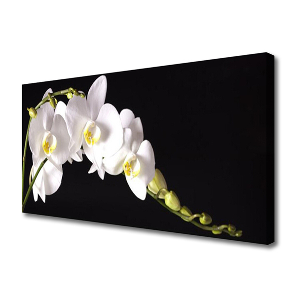 Canvas print Flowers floral white