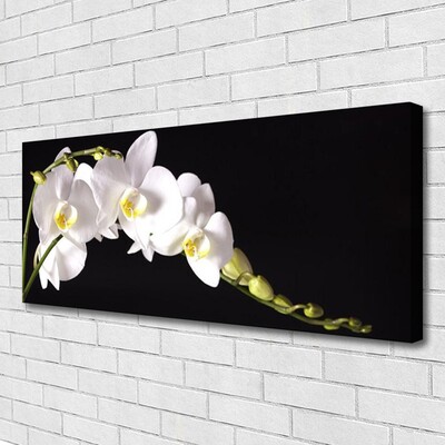 Canvas print Flowers floral white