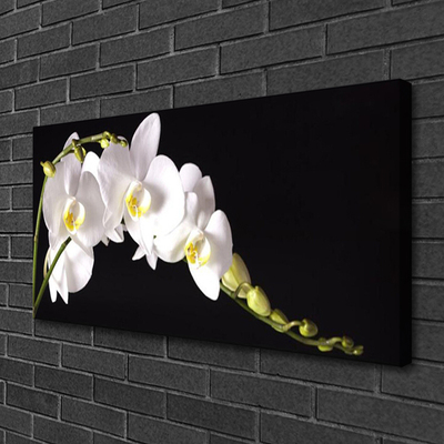 Canvas print Flowers floral white