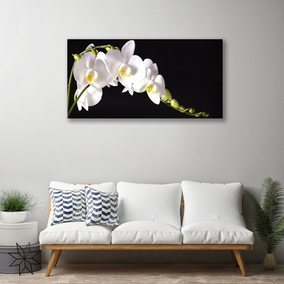 Canvas print Flowers floral white