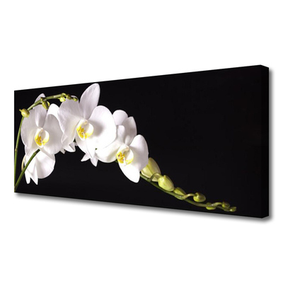 Canvas print Flowers floral white