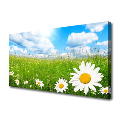 Canvas print Daisy grass nature white yellow green